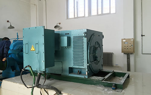 Y7106-6某水电站工程主水泵使用我公司高压电机一年质保