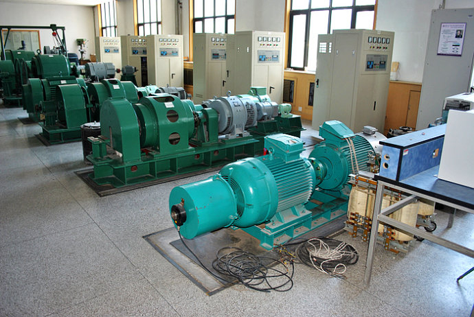 Y7106-6某热电厂使用我厂的YKK高压电机提供动力