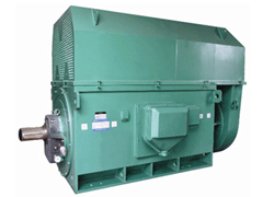 Y7106-6Y系列6KV高压电机